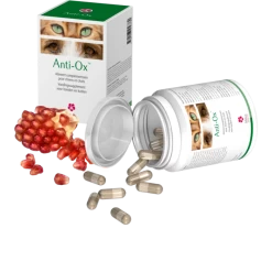 Anti-Ox 30 Gélules