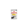 Royal Canin Dalmatien Dermacomfort Pour Chien 12 X 85g