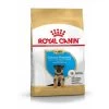 Royal Canin Berger Allemand Chiot Pour Chien 3kg -Chien Scroquette 17c54121c671f6cdfe28f38823b7d555834d2ee0902018a53cc90ac4abfd285e