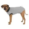 Trixie Veste De Protection / M-L / 50 Cm -Chien Scroquette 1884d33198590d832ebdac9012c4444c574d27586c30133d8a8c83189dff1eb0 2