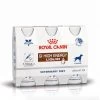 Royal Canin GI High Energy Liquid - 3 Flacons De 200ml -Chien Scroquette 18dd35214d12cda2d1d4ace436a854e5871c2bf9921299eb25f4f45bcdb6f150