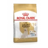 Royal Canin Labrador Retriever Adult 5+ 3kg -Chien Scroquette 267881515b21faa0e1c205ebf7d87b5e60a094a6f083ea85dbcba2f4e520475a