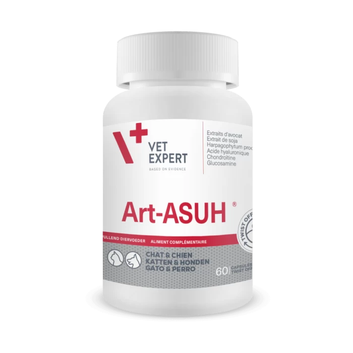 Art-ASUH S - 60 Capsules 3 Art-ASUH S - 60 Capsules
