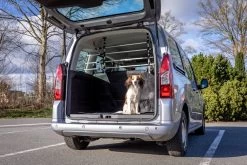 Trixie Protection Chien Pour Voiture Avec Fixations Aux Appuies-tête 105-172 Cm -Chien Scroquette 43b9171670aa632db8d0b50216bda1040921a87f11069c8ac80902918560e8aa