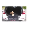 Tapis De Protection Coffre De Voiture -Chien Scroquette 46b08fd3f962f65d8fee66ed451c22dee454f2c52cfc4b856e405ab36f561434