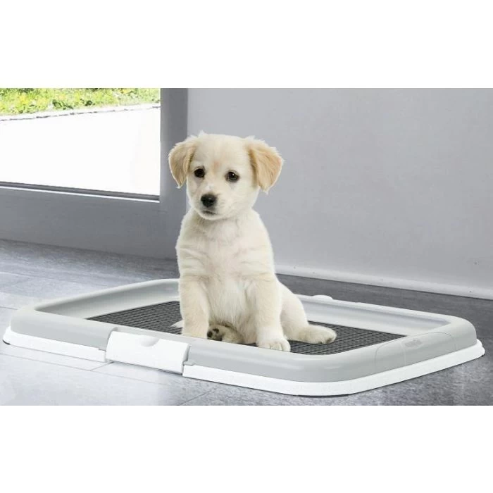 Set D'éducation Pour Chiot 3 Set D'éducation Pour Chiot