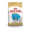 Royal Canin French Bulldog Chiot Pour Chien 3kg -Chien Scroquette 51dba4d1801f4381516b5a3d15d16f982028c9a4868a9107b06eee5440a1f3d4