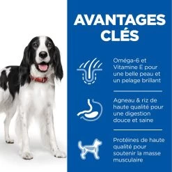 Hill's Science Plan Adult Croquettes Pour Chien Medium -Chien Scroquette 52742025865 3 science plan chien adulte medium croquettes agneau