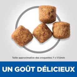 Hill's Science Plan Senior Vitality Croquettes Pour Grand Chien Mature Au Poulet Et Au Riz 14Kg -Chien Scroquette 52742025964 4 science plan senior vitaity chien large croquettes poulet