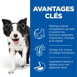 Hill's Science Plan Senior Vitality Croquettes Pour Chien âgé Au Poulet 14Kg -Chien Scroquette 52742026107 3 science plan senior vitality chien medium croquettes poulet