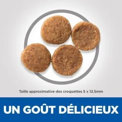 Hill's Science Plan Senior Vitality Croquettes Pour Chien âgé Au Poulet 14Kg -Chien Scroquette 52742026107 4 science plan senior vitality chien medium croquettes poulet