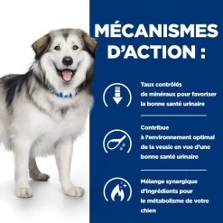 Hill's Prescription Diet C/d Multicare + Metabolic Croquettes Pour Chien -Chien Scroquette 52742037394 5 prescription diet chien c d multicare metabolic croquettes