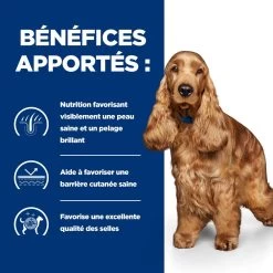 Hill's Prescription Diet Z/D AB+ Pour Chien Au Poulet -Chien Scroquette 52742040455 4 prescription diet chien z d croquettes