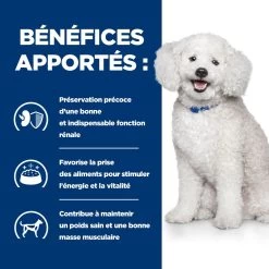 Hill's Prescription Diet K/D Early Stage Croquettes Pour Chien Au Poulet -Chien Scroquette 52742042374 4 prescription diet chien k d early stage croquettes poulet