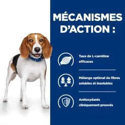 Hill's Prescription Diet R/D Croquettes Pour Chien Au Poulet -Chien Scroquette 52742047256 4 prescription diet chien r d croquettes poulet