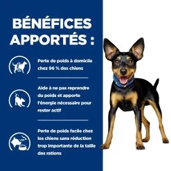 Hill's Prescription Diet Metabolic Mijotés Pour Chien 24x156g Poulet Et Légumes -Chien Scroquette 52742047331 3 FR