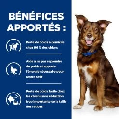 Hill's Prescription Diet Metabolic Pour Chien 13 Hill's Prescription Diet Metabolic Pour Chien -Chien Scroquette 52742209906 4 prescription diet chien metabolic croquettes poulet
