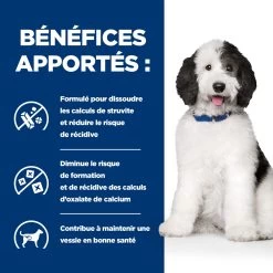 Hill's Prescription Diet C/D Urinary Multicare Croquettes Pour Chien Au Poulet -Chien Scroquette 52742917603 4 prescription diet chien c d multicare croquettes poulet