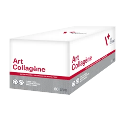 Art-Collagène 60 Sachets