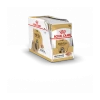 Royal Canin Shih Tzu 12x 85g -Chien Scroquette 58ac3b3271a08f3c3fe0360d8b63e0f7a8cfcbb73a5690fedae2edde7d751246