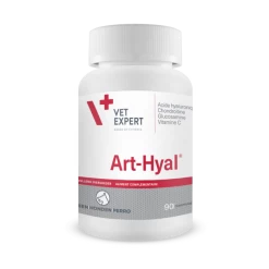 Art-Hyal 90 Comprimés