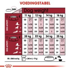 Royal Canin Medium Ageing 10+ Pour Chien 15kg 8 Royal Canin Medium Ageing 10+ Pour Chien 15kg -Chien Scroquette 658cd0070fe8656d49127926637c4755119021204d9a36ef53ccdb1c5650d350 1