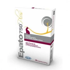 ICF EPATO 5 ICF EPATO -Chien Scroquette 6f7674e426668f82685472f5476e1198a9598af60c180b60006bc494be44a833