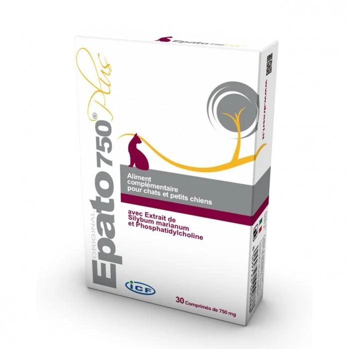 ICF EPATO 4 ICF EPATO – Image 2