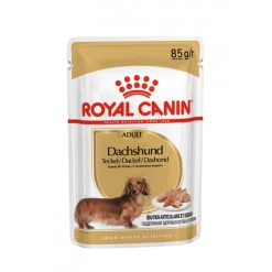 Royal Canin Teckel Adult Pour Chien 12 X 85g