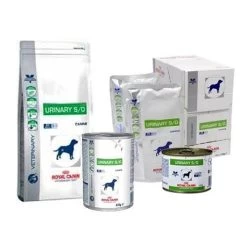 Royal Canin Urinary Chien -Chien Scroquette 79dbc42ddd876cf7d99fbddce1c3f3bfa57930b64eb2fb2a16b20c125b47feb6