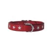 Collier Cuir Etoile Rouge -Chien Scroquette 7f1d2109b3e03c770ff3e3439bf28917a322e973c04e3809cf2f39ed9feec86c 1