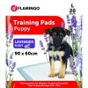 Flamingo Tapis D'Apprentissage Pady L 20pcs Lavande 90x60cm -Chien Scroquette 86853736e11753c6e809486d45f9c0b49295b8a7d1bdf0ad3f963102bda6cec6