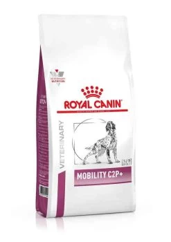 Royal Canin Mobility Support Dog 5 Royal Canin Mobility Support Dog -Chien Scroquette 913a8c2feab24088a69d5f14f4583208af33c1de0b5c58d662e32f9e230ee2bc