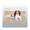 Trixie Matelas Rafraichissant -Chien Scroquette 93c9923a8b8c4684c5225d57f2a6c755ad5875899f7063ce42e188eeca783c0c