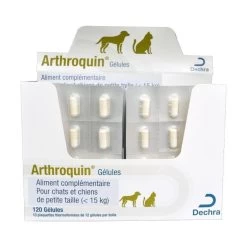 DECHRA Arthroquin Chat Et Petit Chien 24 Gélules