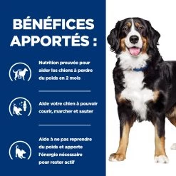 HILL'S PRESCRIPTION DIET METABOLIC + MOBILITY GESTION DU POIDS BOÎTES POUR CHIEN 12X370G -Chien Scroquette Hills prescription diet chien metabolic mobility boites poulet 2 FR