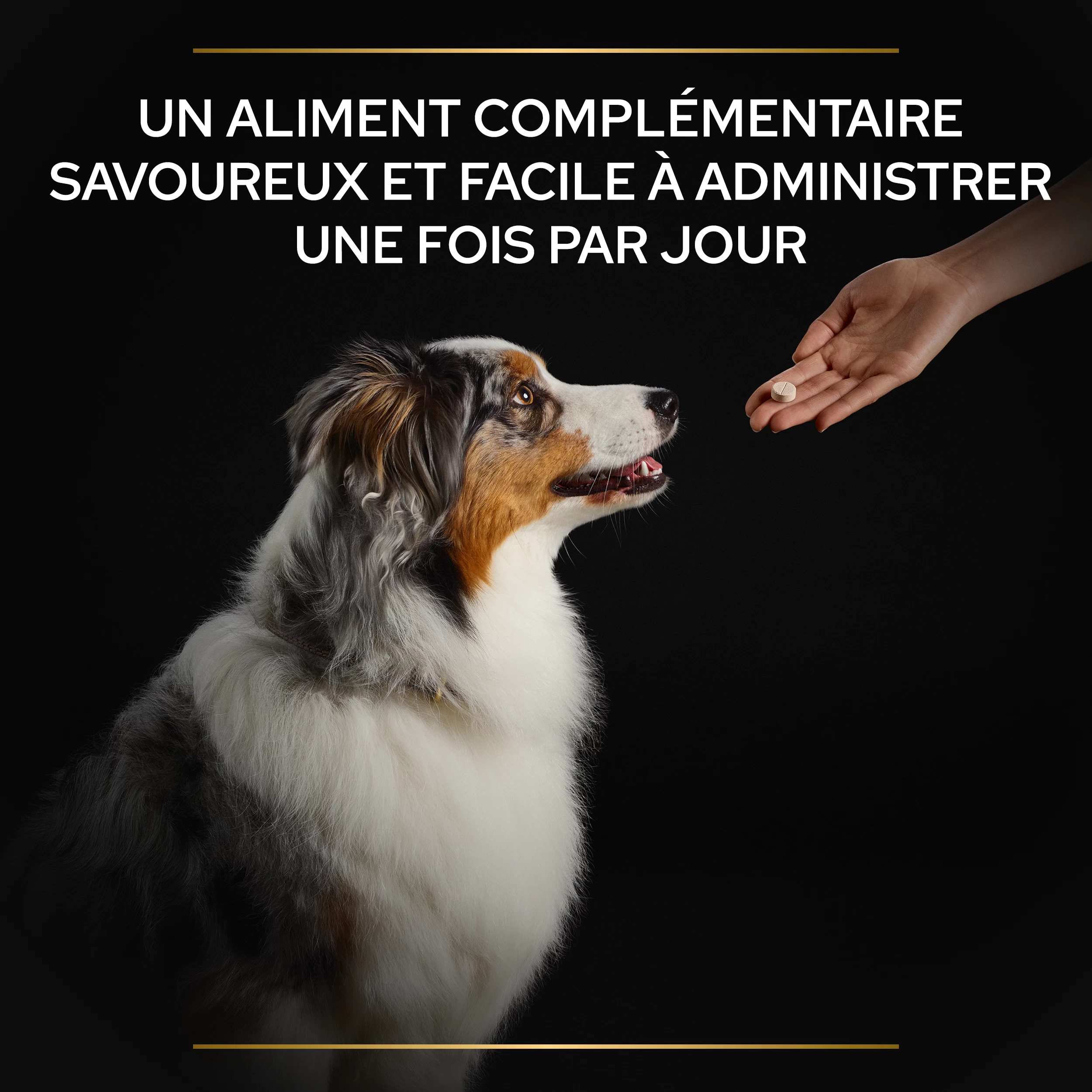 Purina PRO PLAN NATURAL DEFENSES+ CHIEN ALIMENT COMPLEMENTAIRE - 67G 10 Purina PRO PLAN NATURAL DEFENSES+ CHIEN ALIMENT COMPLEMENTAIRE - 67G – Image 8