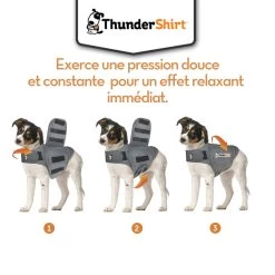 Body Anti Stress Thundershirt -Chien Scroquette Thundershirt 7 FR