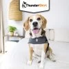 Body Anti Stress Thundershirt