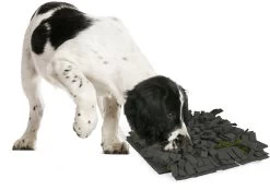 Flamingo Tapis à Renifler Amigo Rectangulaire + Fermeture Eclair Gris/vert 40x50cm -Chien Scroquette a775a03a816b5a96e49c58cd3ecbc26540a84574cd16c3ba95abf6994148d0f2