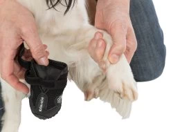 Trixie Chaussures De Protection Walker Active / L-XL 2pcs. -Chien Scroquette a9ed7403e7270fba9cbe0c569267f57bb704d33b769ec1a5458f95b1bf0c54e0 3