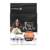 Purina Pro Plan Adult 7+ Medium Et Large Chien 14Kg 1 Purina Pro Plan Adult 7+ Medium Et Large Chien 14Kg -Chien Scroquette aa49792289a022ebff60def602bff39447c2487cdade84f247c3d5be7789d4b8