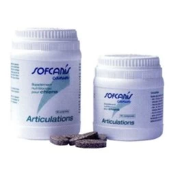 SOFCANIS ARTICULATIONS 5 SOFCANIS ARTICULATIONS -Chien Scroquette ac7330604c117a30df5e8fcf23190e0805ed5f985f02efaa5422a510d3acc158