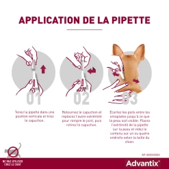 Bayer Advantix Grand Chien 25-40Kg -Chien Scroquette advantix application de la pipette 1 2