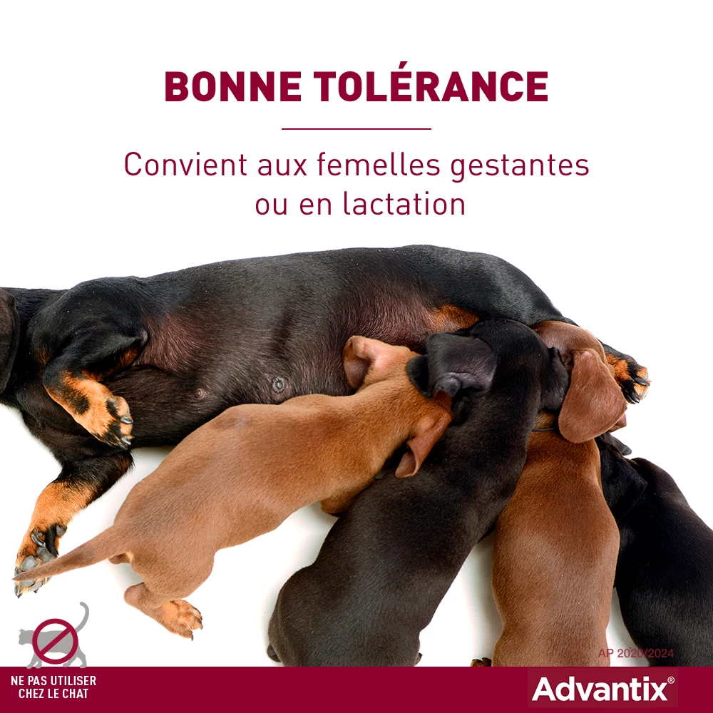 Advantix Chien Moyen 10-25Kg 8 Advantix Chien Moyen 10-25Kg â Image 6