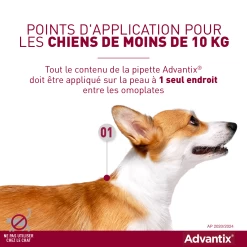 Advantix Très Petit Chien 2-4Kg -Chien Scroquette advantix point d application 2