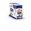 Royal Canin Maxi Ageing 8+ Pour Chien 10 X 140g -Chien Scroquette b0b43132a0501787f5447e97d82f82218426be26eb348de4f750b857b6561a87