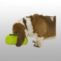 Buster Gamelle Incredibowl -Chien Scroquette b7db7eb0627be48e1161fb24e8121baeec2f2b6161bf624f19777e80bde9c2c9