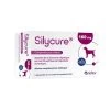 SILYCURE 160mg 75 Comprimés -Chien Scroquette c1a1f313f88eacedf124a1e6b01fcfac0a3b05517783d6eaac91ace94d7223fe