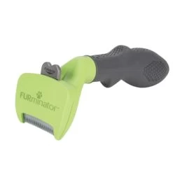 Furminator Brosse Chien Poils Courts 10 Furminator Brosse Chien Poils Courts -Chien Scroquette c282ac75555cf14ea317de4851d90aa2248cfff6b23451145aa8f8038fd5683f 1